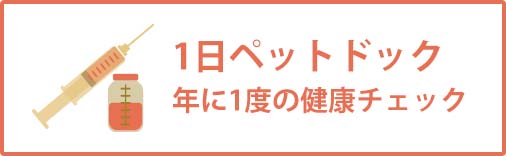 1日ペットドック 年に1度の健康チェック